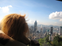 Going into the city with UCow in Hong Kong 21 June 2008