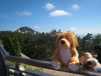 With UCow at The Peak in Hong Kong 21 June 2008