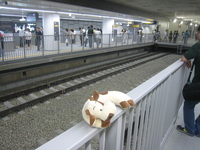 Chillin over gravel on future Toyoko Line 14 June 2008