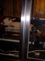 Uncle Cow rents Gas Panic in Shibuya, Oct 2008-43