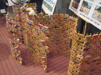 On the fence at Global article 9 conference 2008may05 - 6