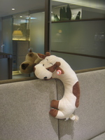 Checking himself out in the mirror at the dentist