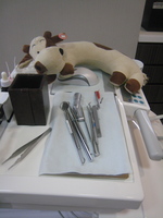 Checking out the sterility of dental pics before his appointment