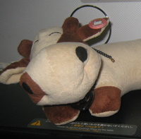 With Ami's necklace Global article 9 conference 2008may04 - 13