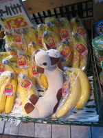 Uncle Cow tries for a part as a banana