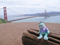 Francois overlooking Golden Gate Bridge