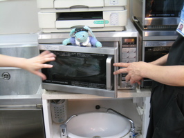 Francois in the microwave