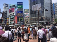085 rob in shibuya scramble