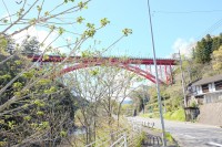 2021 apr 27 bridge behind trees