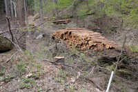 2021 apr 27 cedar logs ready to go