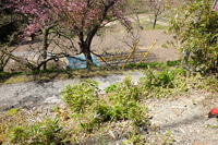 2021 apr 27 10:00:20 overlooking farm shed