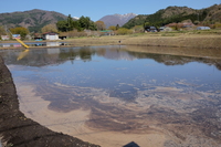 2021 apr 27 10:26:51 flooded rice field