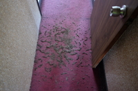 2021 apr 27 11:59:40 dirt patterns on floor akayako hotel