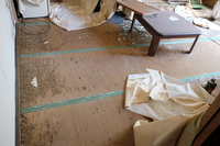 2021 apr 27 12:08:48 bugs chewed tatami in akayako hotel