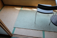 2021 apr 27 12:09:47 seeds on floor in akayako hotel