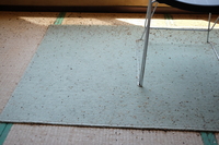 2021 apr 27 12:09:50 seeds closeup in akayako hotel