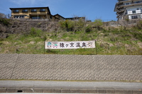 2021 apr 27 12:23:58 monkey capital onsen