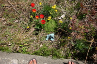 2021 apr 27 12:40:14 francois with flowers too tired to face camera