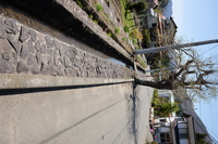 2021 apr 27 12:58:24 spring water along street