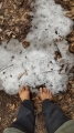 2021 apr 27 small patch of snow in the trail