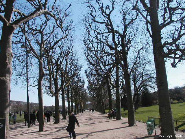 32277trees near Eiffel Tower