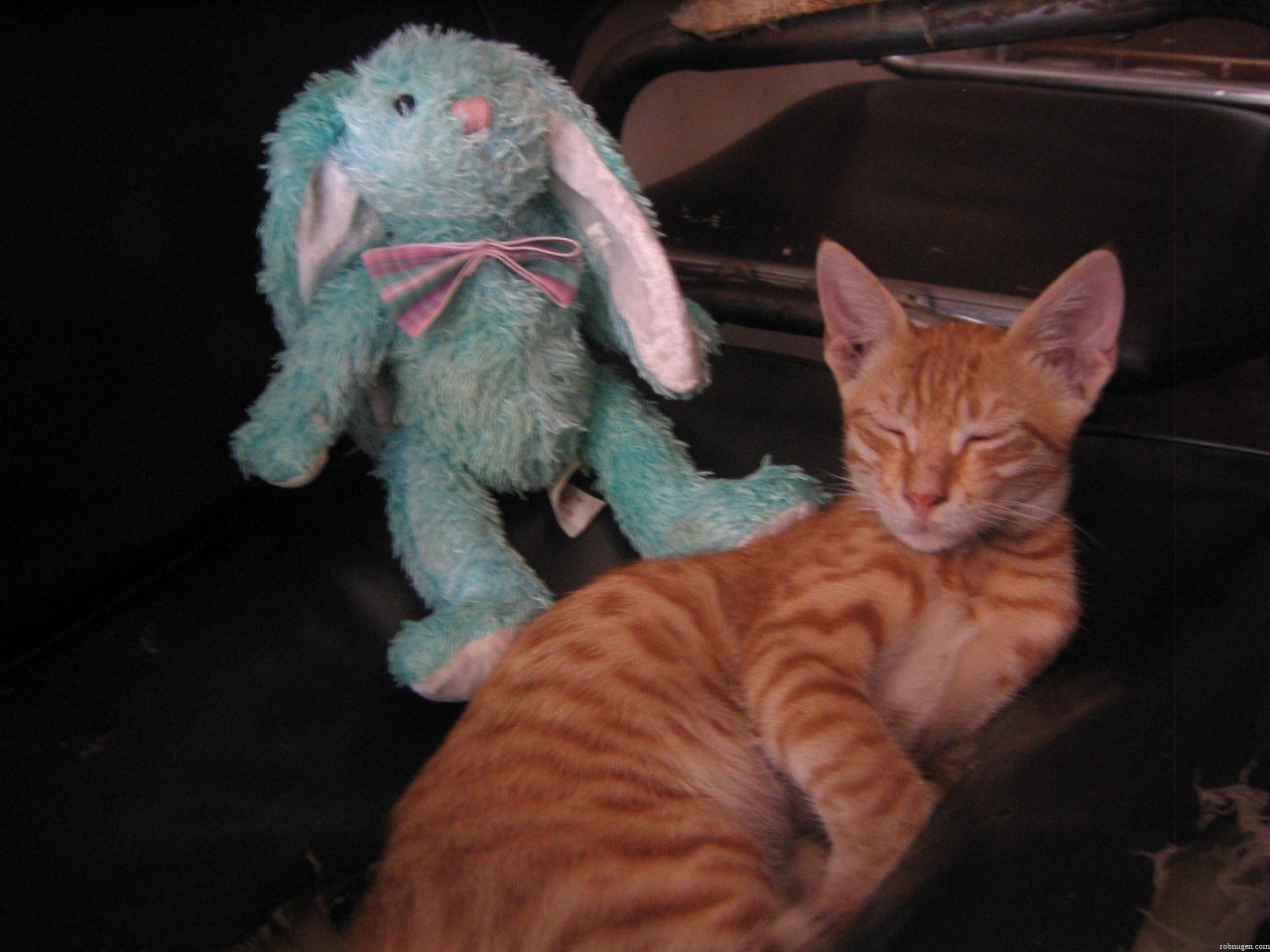 Francois and The Orange One