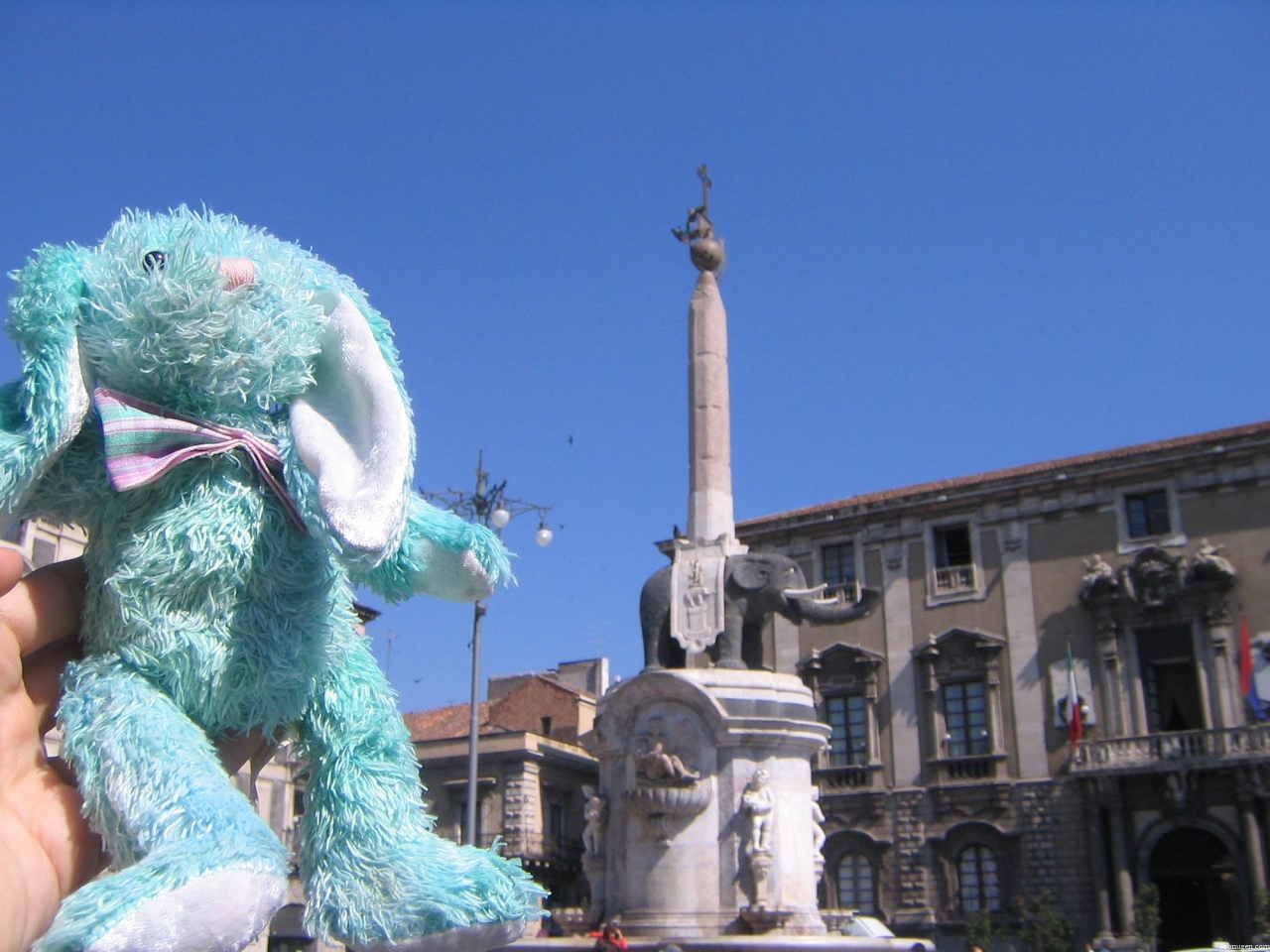 Francois in Elephant Square