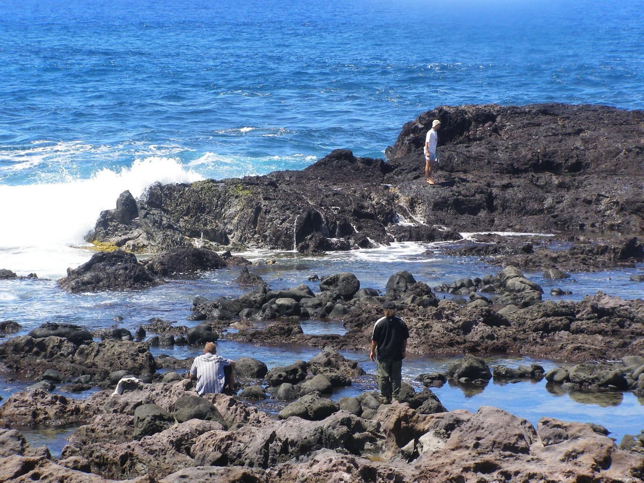 rob on rocks