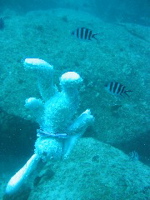 Francois diving in Seychelles 1