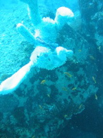 Francois diving in Seychelles 2