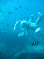 Francois diving in Seychelles 3