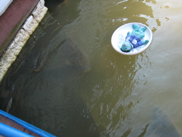 Francois sunbathin with the fishes