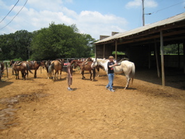 get out of the corral!