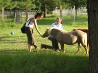 Ami feeds Bonnie - 1