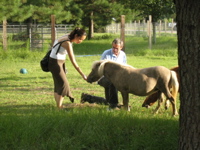 Ami feeds Bonnie - 2