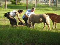 Ami feeds Bonnie - 4