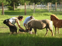 Ami feeds Bonnie - 5