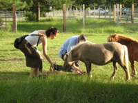 Ami feeds Bonnie - 6