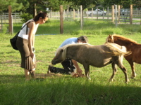 Ami feeds Bonnie - 7