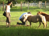 Ami feeds Bonnie - 8