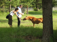 Ami feeds Misha - 1