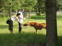 Ami feeds Misha - 2