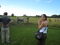 Ami sees cattle - 2