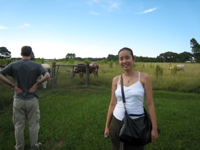 Ami sees cattle - 4