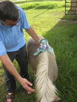 Francois rides Bonnie - 2