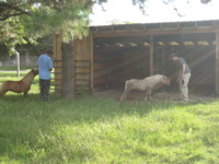 misha, dad, bonnie, fred