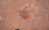 THUNDER RABBIT brick