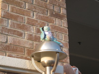 Francois on da light