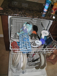 Francois in Dude's dishwasher