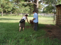 Ami feeding Misha with my dad